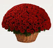 Премиум букет из: Розы в Заклинье